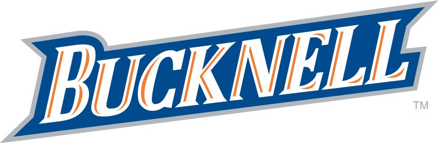 Bucknell Bison 2002-2011 Wordmark Logo v2 diy iron on heat transfer